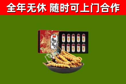 洪湖市回收冬虫夏草价格